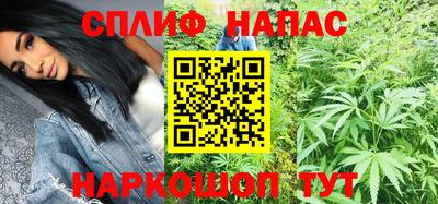 шишки Кинель