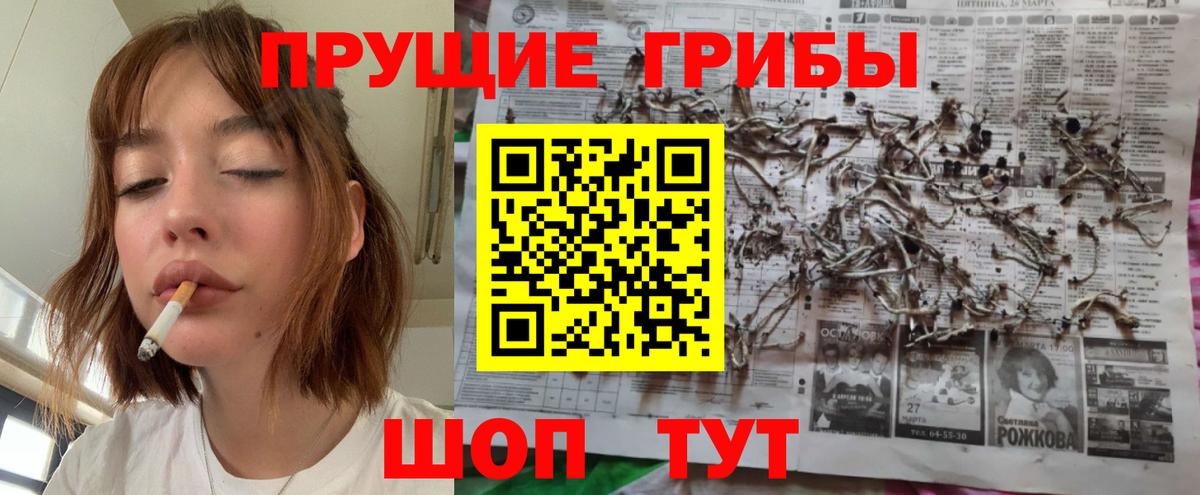 Красноармейск  Галлюциногенные грибы Magic Shrooms  где продают наркотики  Вход с VPN 